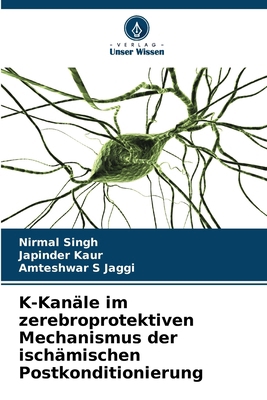 K-Kanäle im zerebroprotektiven Mechanismus der ... [German] 6202430818 Book Cover