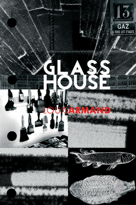 GlassHouse 0993195571 Book Cover