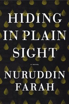 Hiding in Plain Sight: A Novel 1594633363 Book Cover