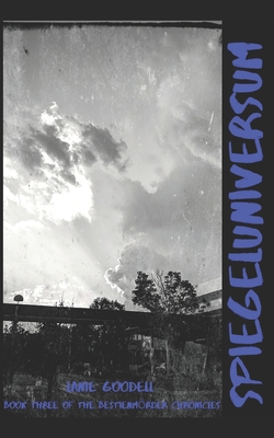 Spiegeluniversum B08NWJPL74 Book Cover