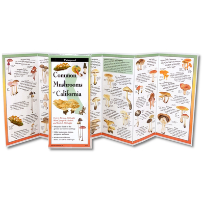 Common Mushrooms of California 1621264009 Book Cover