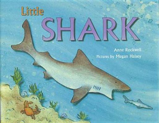 Little Shark 0802789552 Book Cover