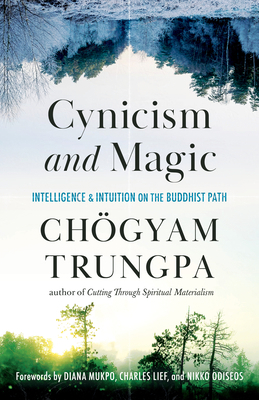 Cynicism and Magic: Intelligence and Intuition ... 161180809X Book Cover