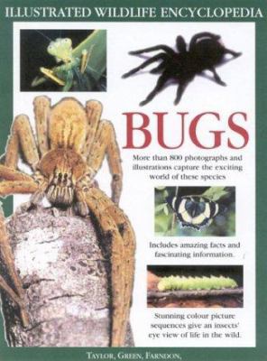 The Big Bug Book: Discover the Amazing World of... 0754811492 Book Cover