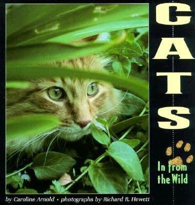 Cats: In from the Wild 0876146922 Book Cover