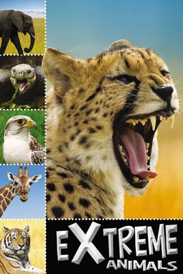 Ready to Read Extreme Animals 1848796889 Book Cover
