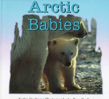 Arctic Babies 0802784135 Book Cover