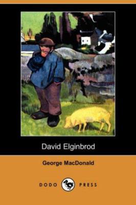 David Elginbrod 1406529893 Book Cover