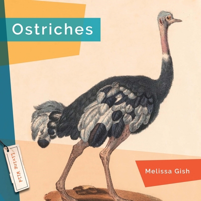 Ostriches 1640267956 Book Cover