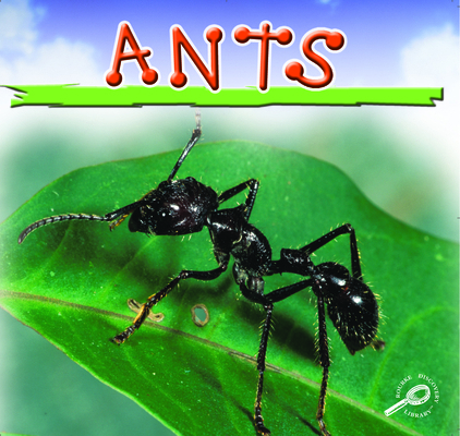 Ants 1595157387 Book Cover
