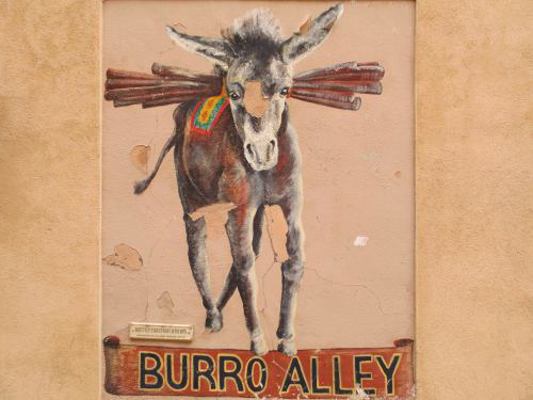 Land of Enchantment : New Mexico