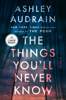 The Things You'll Never Know [Large Print] B0GWXQNXYM Book Cover
