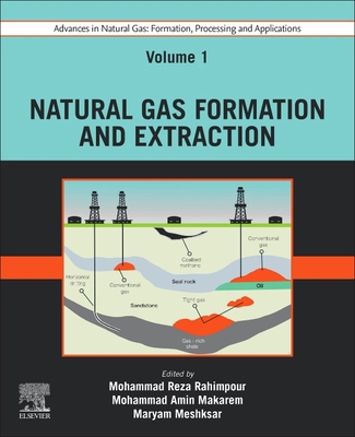 Advances in Natural Gas: Formation, Processing ... 0443192154 Book Cover