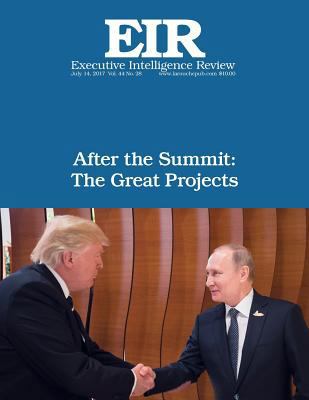 After the Summit: The Great Projects: Executive... 1973972972 Book Cover