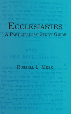 Ecclesiastes: A Participatory Study Guide 163199770X Book Cover