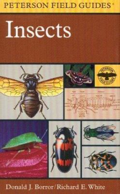 A Field Guide to Insects: America North of Mexico 0395911710 Book Cover