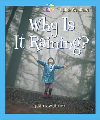 Why Is It Raining? 0766023184 Book Cover