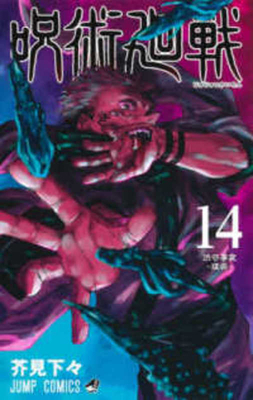 Jujutsu Kaisen 14 [Japanese] 4088825349 Book Cover