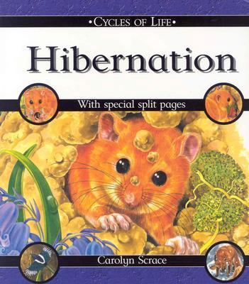 Hibernation (Cycles of Life) 0531148424 Book Cover