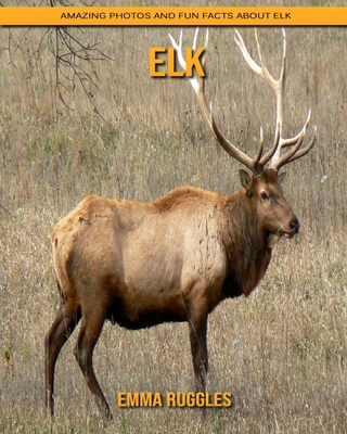 Paperback Elk: Amazing Photos and Fun Facts about Elk [Large Print] Book