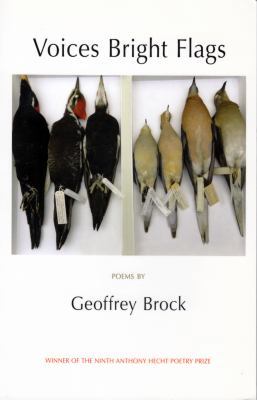 Voices Bright Flags 190413064X Book Cover