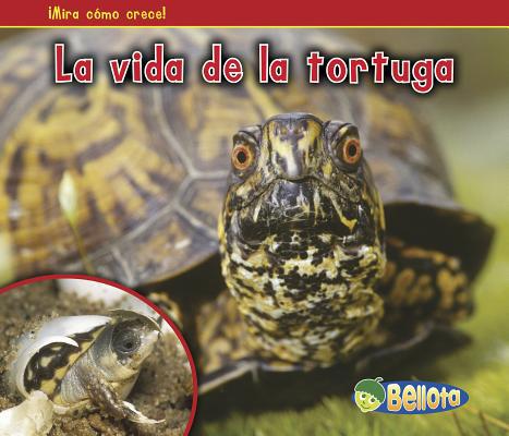 La Vida de la Tortuga = The Life of a Turtle [Spanish] 1432952927 Book Cover
