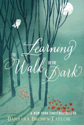 Learning to Walk in the Dark 0062024353 Book Cover