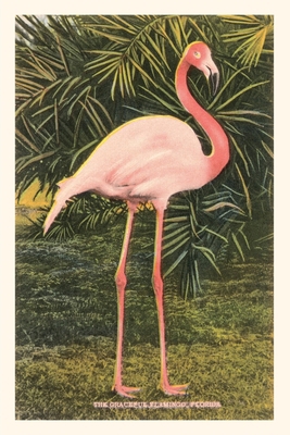 Vintage Journal Flamingo 1669517969 Book Cover