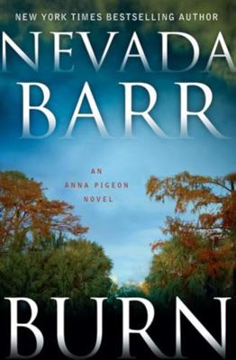 Burn 1616645350 Book Cover