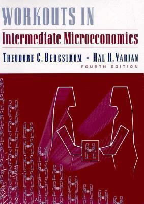 Workouts in Intermediate Microeconomics 039396843X Book Cover