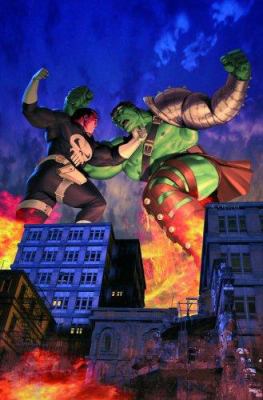 Punisher War Journal 3: Hunter Hunted 0785130217 Book Cover
