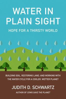 Water in Plain Sight: Hope for a Thirsty World 1603589163 Book Cover