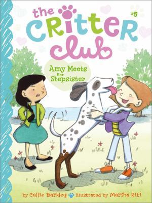 Amy Meets Her Stepsister 1442482168 Book Cover