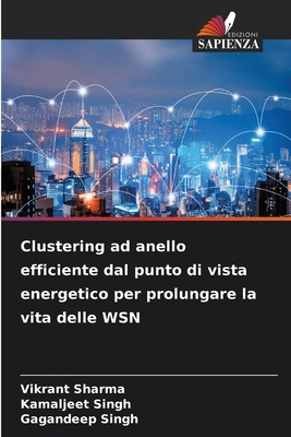 Clustering ad anello efficiente dal punto di vi... [Italian] 6136455544 Book Cover