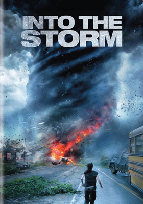 Into the Storm B00MJANZNI Book Cover