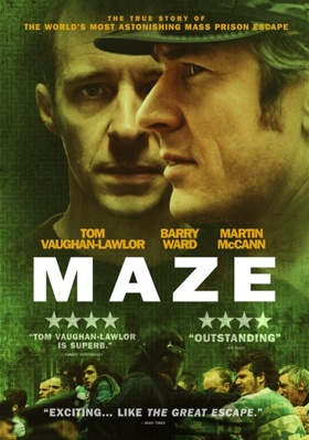 Maze Book Cover