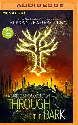 Through the Dark: A Darkest Minds Collection 1501242202 Book Cover
