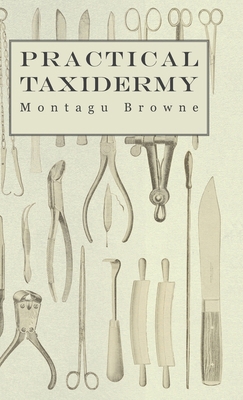 Practical Taxidermy - A Manual of Instruction t... 1905124325 Book Cover