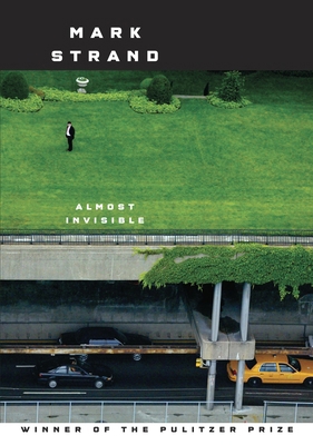 Almost Invisible 0375712186 Book Cover