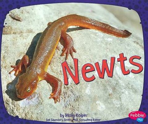 Newts (Amphibians) (Pebble Plus: Amphibians) 142964852X Book Cover