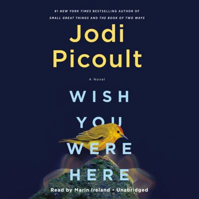 Wish You Were Here 0593508653 Book Cover