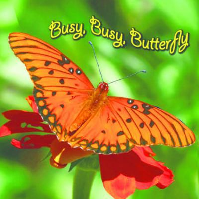 Busy, Busy, Butterfly B00AECWGG0 Book Cover