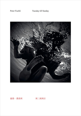 Peter Fischli: Tuesday Till Sunday 3753307297 Book Cover