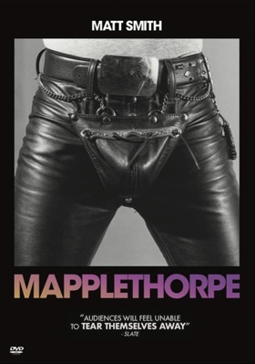 Mapplethorpe            Book Cover