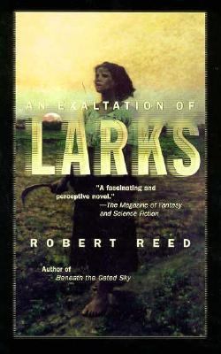 An Exaltation of Larks 0312858876 Book Cover