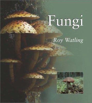 Fungi (Natural World Series) 1588340821 Book Cover