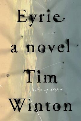 Eyrie: A Novel 0374151342 Book Cover