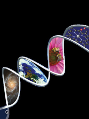 Chemistry: The Science in Context 0393926494 Book Cover