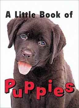 a little book of puppies