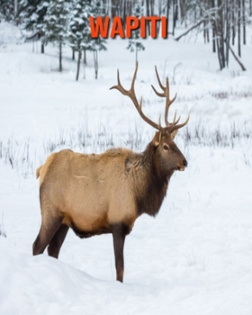 Wapiti: Recueil pour Enfants de Belles Images & d'Informations Int?ressantes Concernant les Wapiti